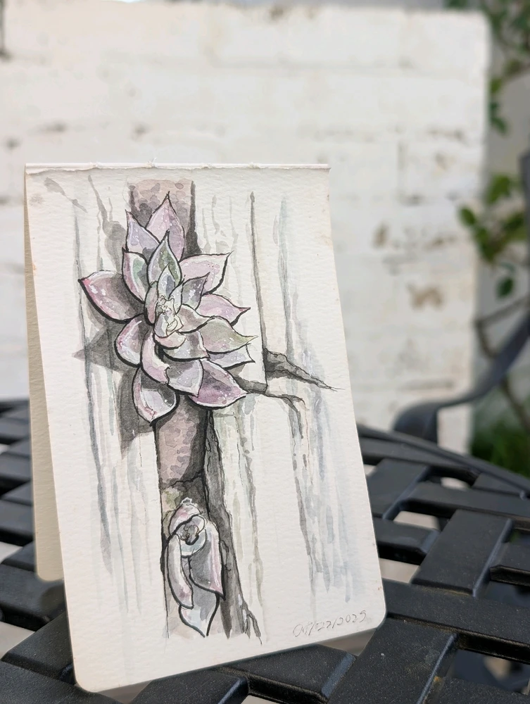 Image uploaded by William