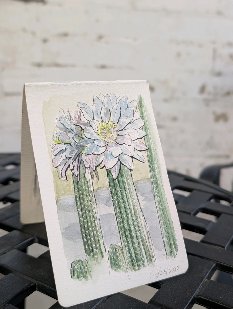 Image uploaded by William