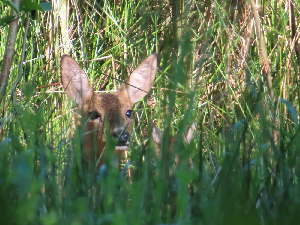 Fotku nahral/-a Peter