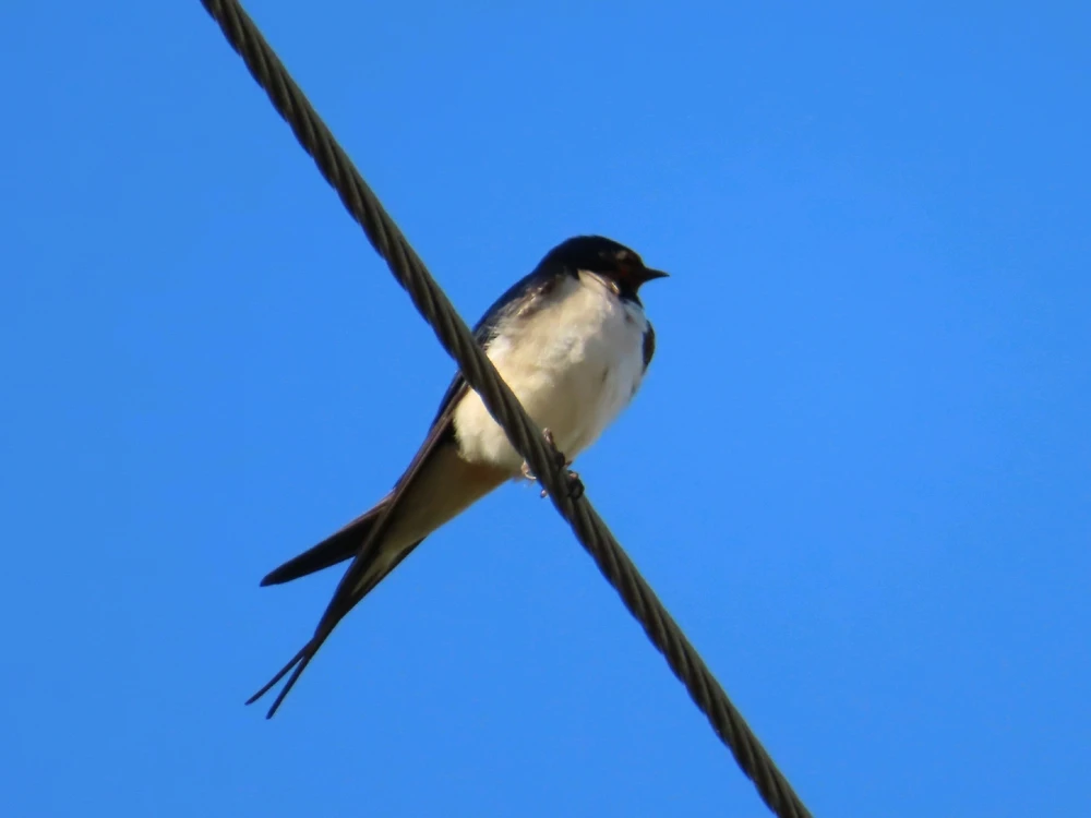 Fotku nahral/-a Peter