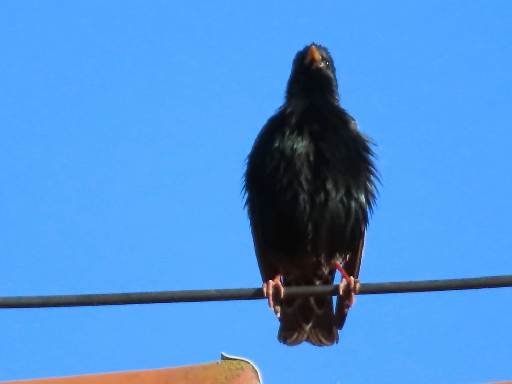 Fotku nahral/-a Peter