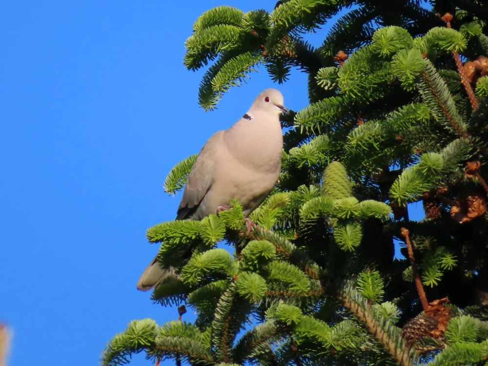 Fotku nahral/-a Peter