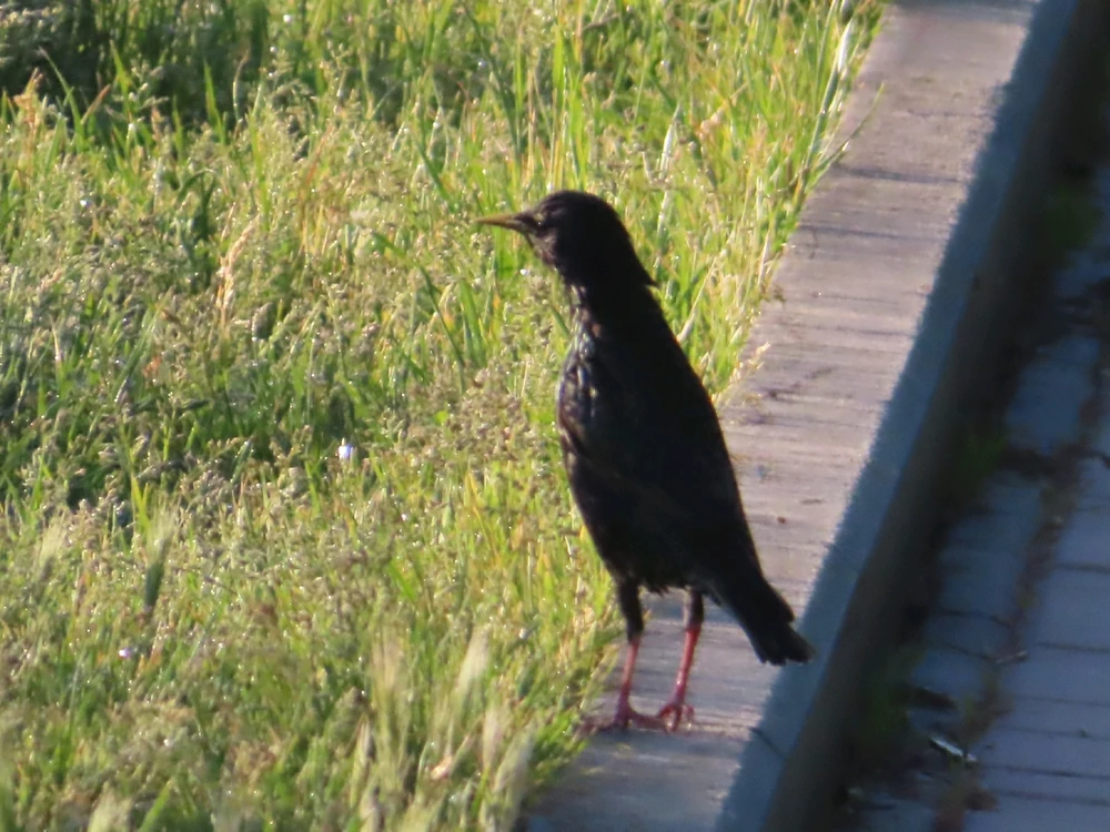 Fotku nahral/-a Peter