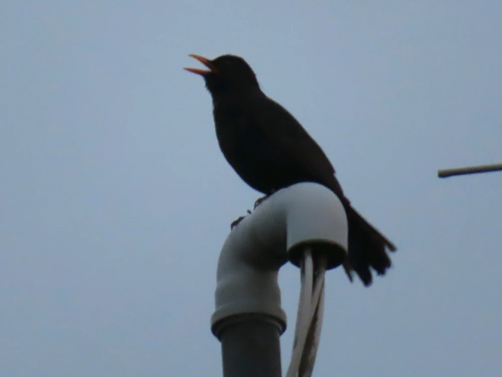 Fotku nahral/-a Peter