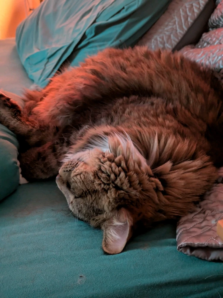 GIF uploaded by Lily