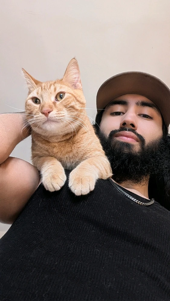 GIF uploaded by Israel