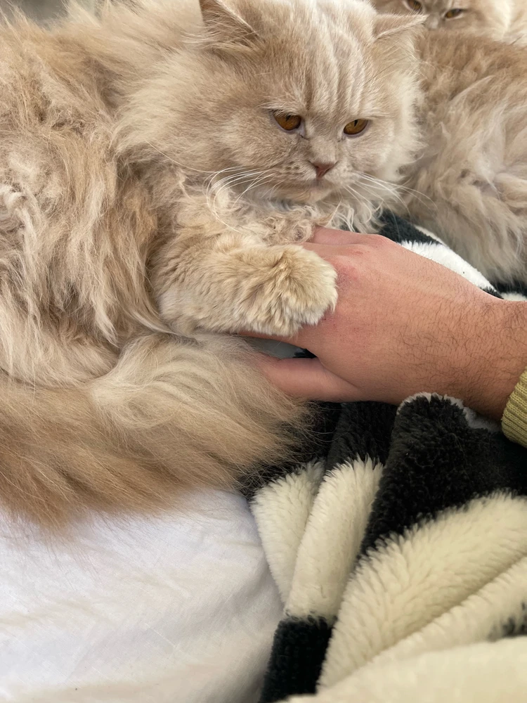 GIF uploaded by Weaam