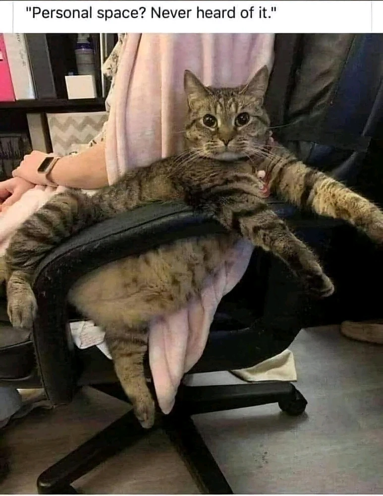 GIF uploaded by Waynez