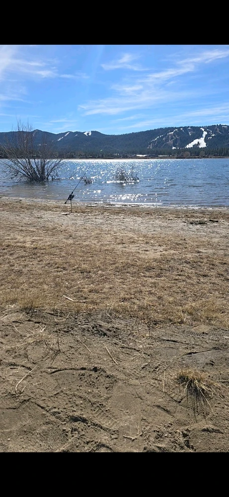 Image uploaded by Matt