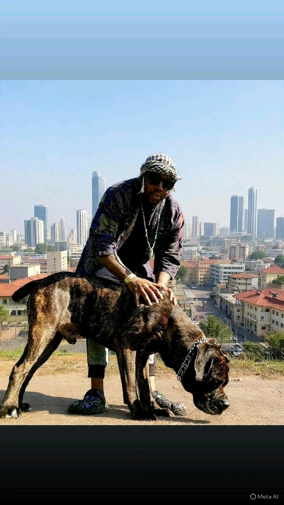 GIF diunggah dening Dre