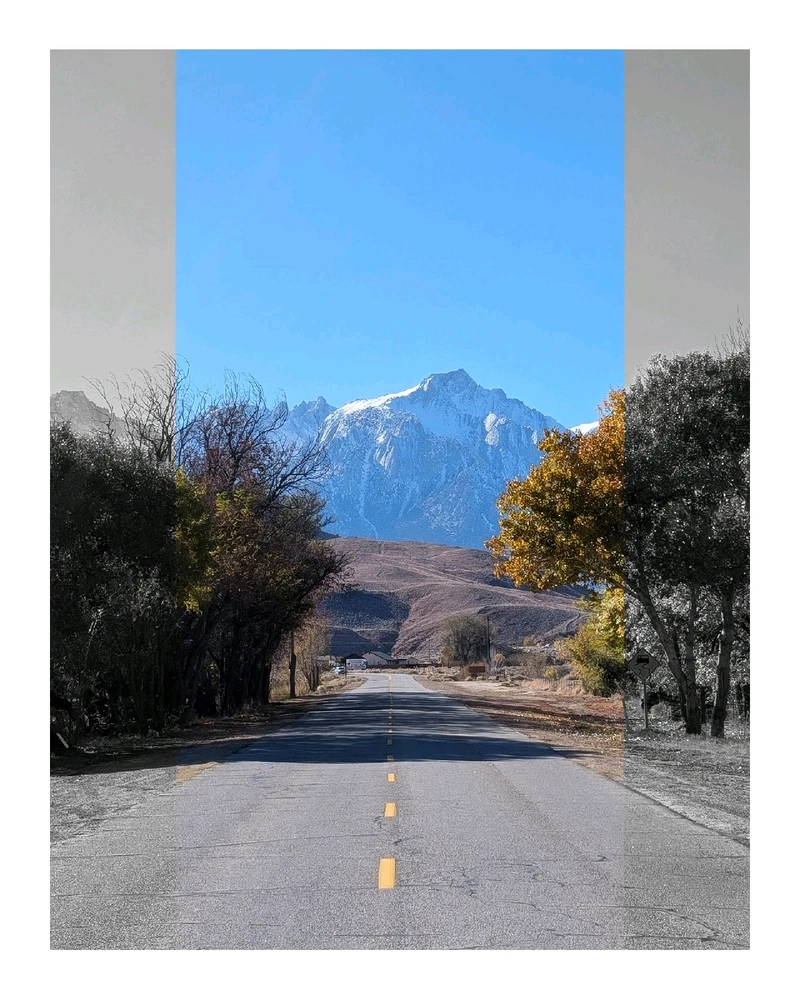 Image uploaded by William