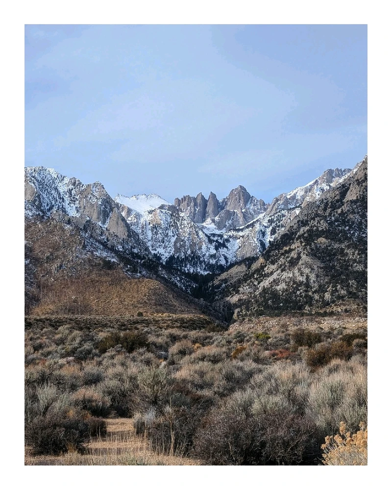 Image uploaded by William