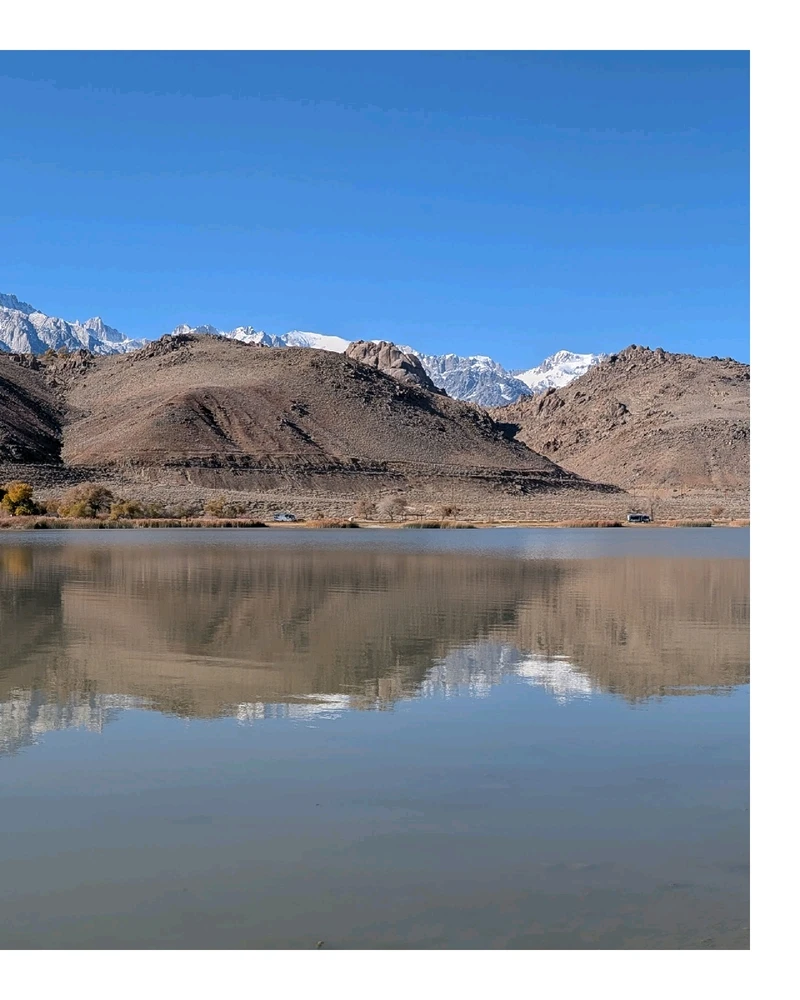 Image uploaded by William