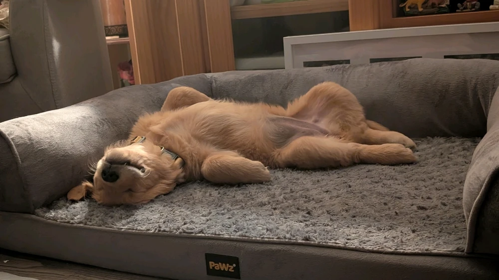 GIF uploaded by Matty