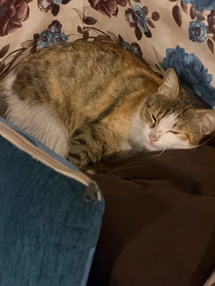 GIF uploaded by Graves