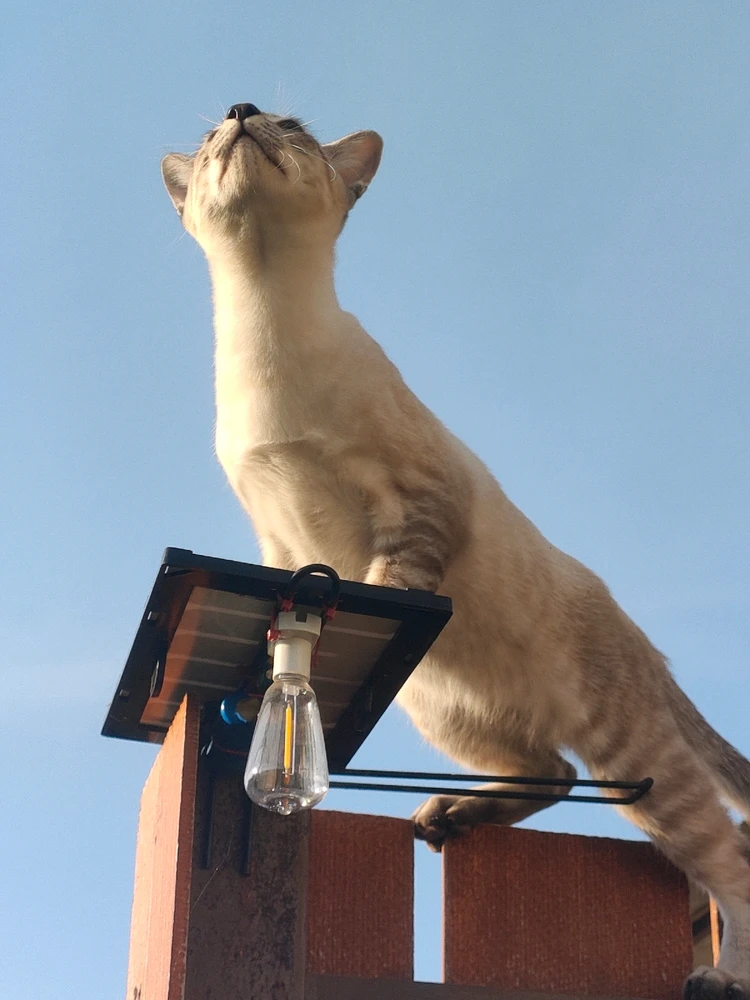 GIF uploaded by Jellyfish