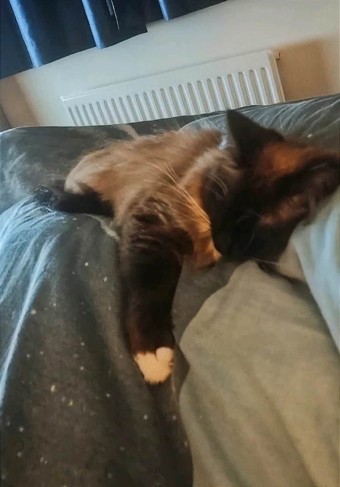 GIF uploaded by Andy