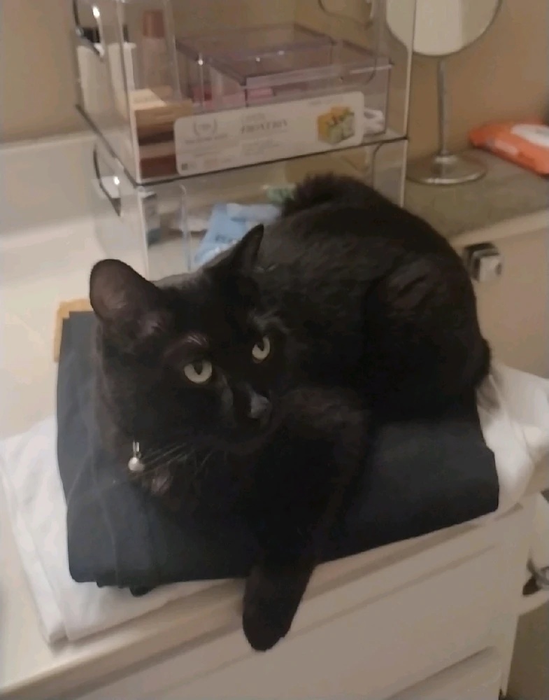 Image uploaded by Ast