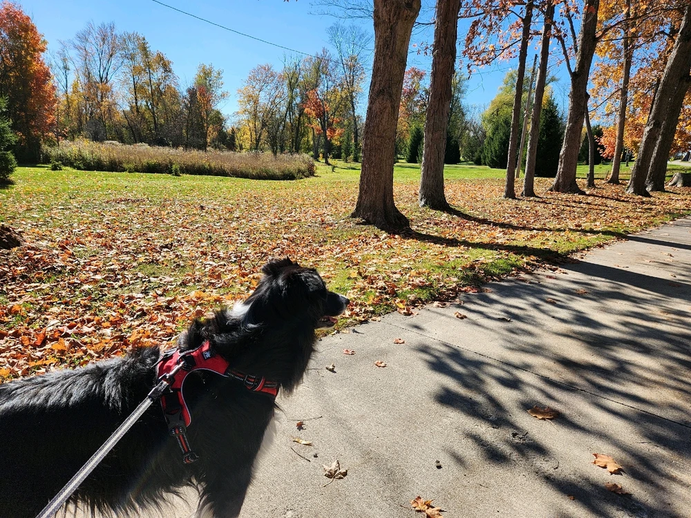 Image uploaded by Tyler