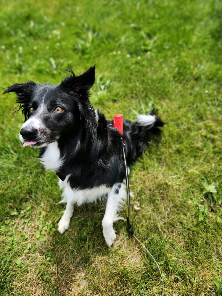 Image uploaded by Tyler