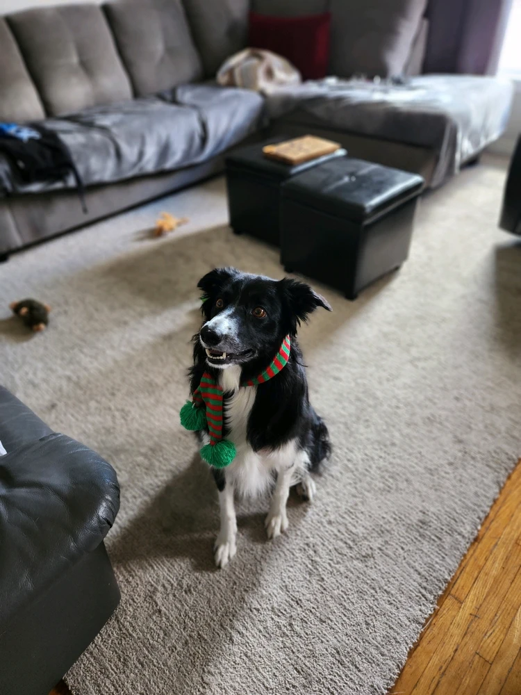 Image uploaded by Tyler