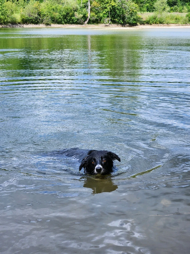 Image uploaded by Tyler