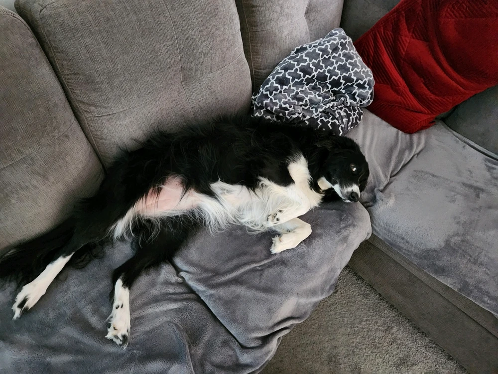 Image uploaded by Tyler