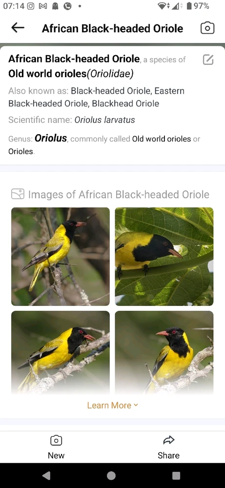 Image uploaded by CheffieGR