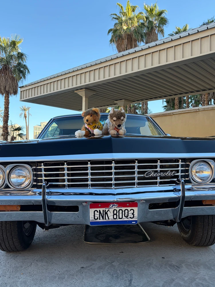 GIF uploaded by Shadow