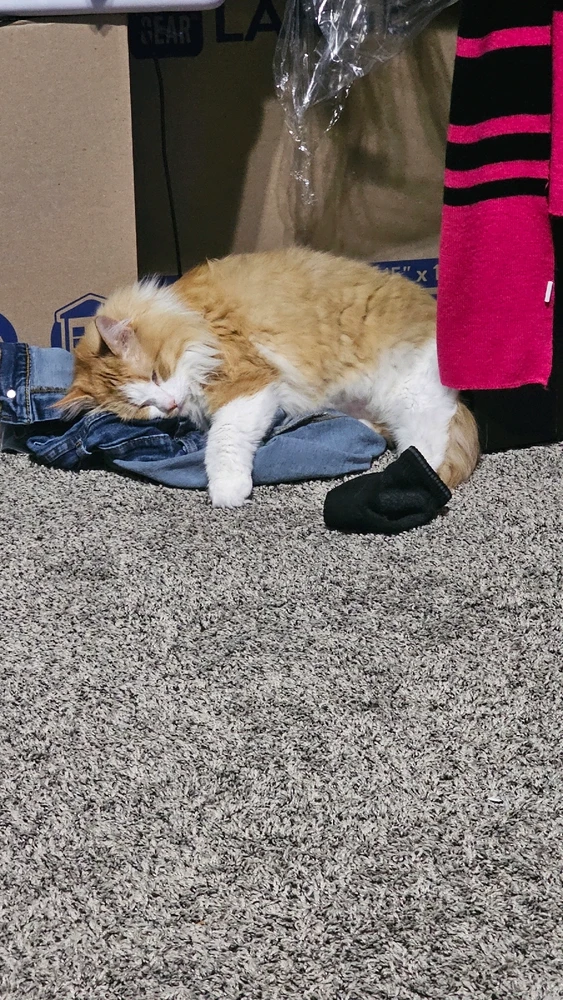 GIF uploaded by Juan