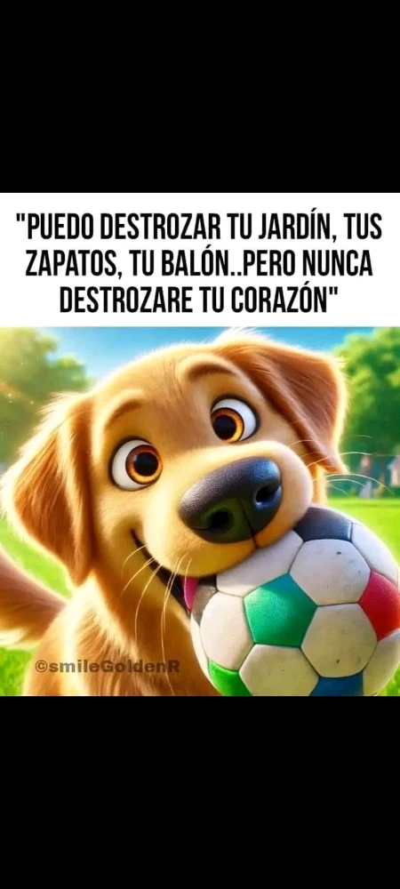 GIF uploaded by Steve