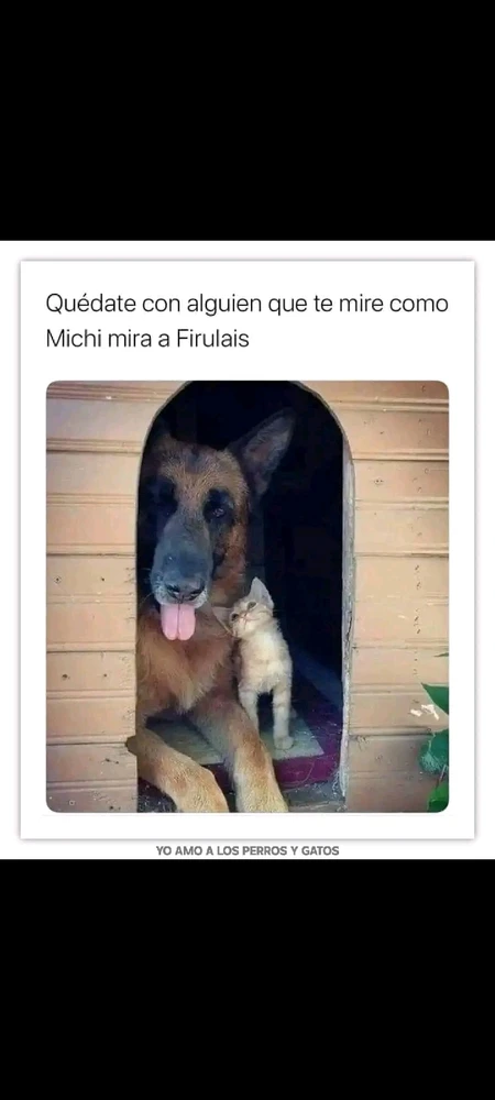 GIF uploaded by Steve