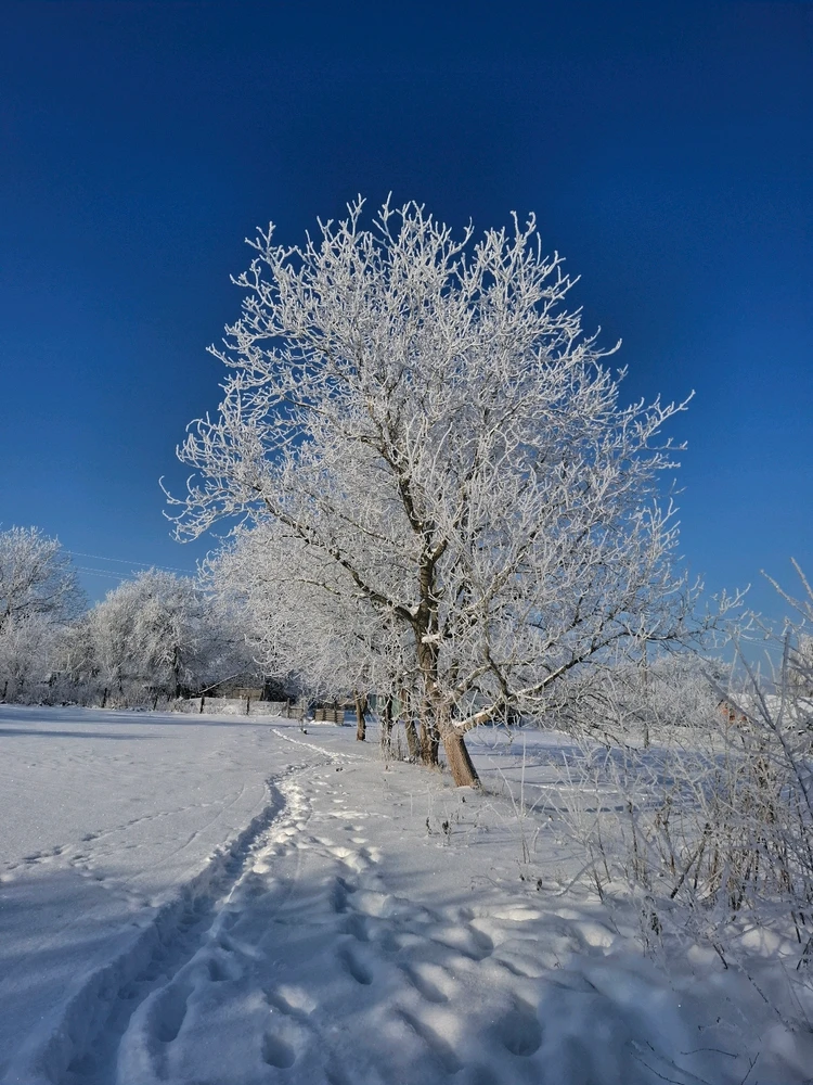 Гіфку завантажив Максим