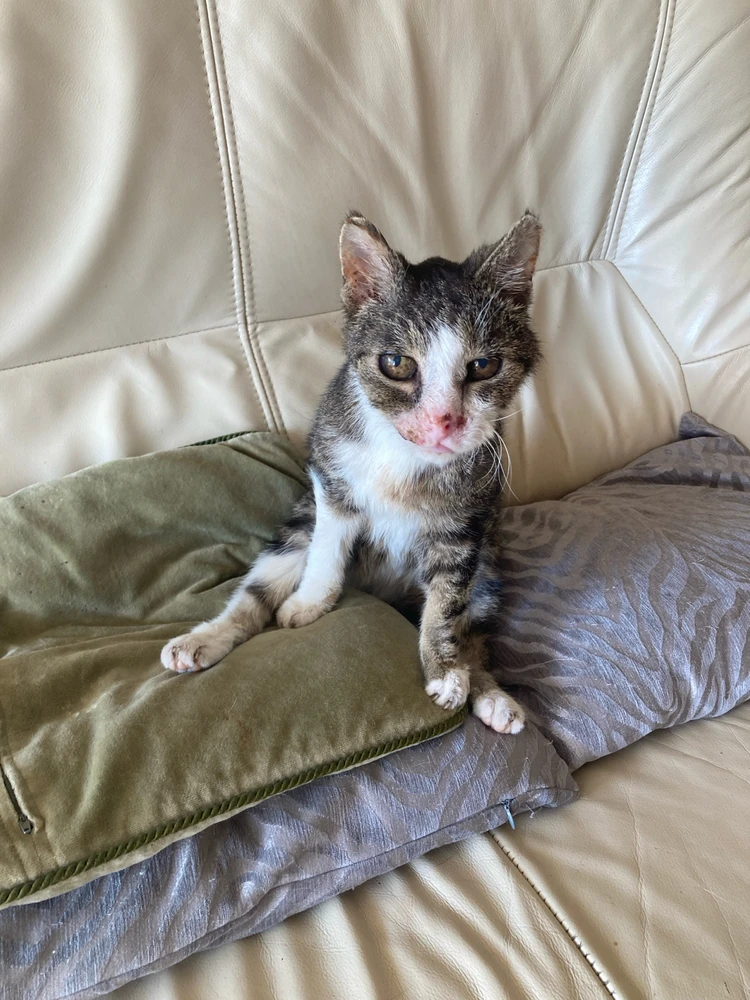 GIF dodany przez Prometheus