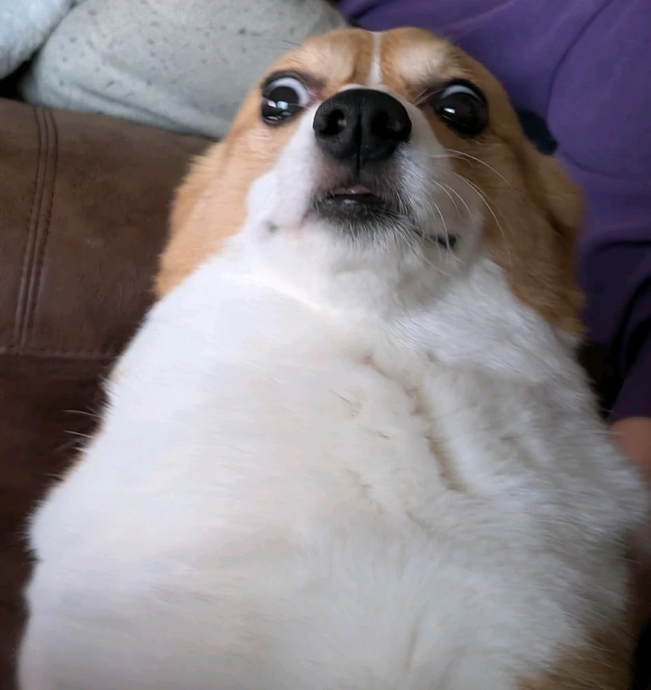 GIF uploaded by Jake