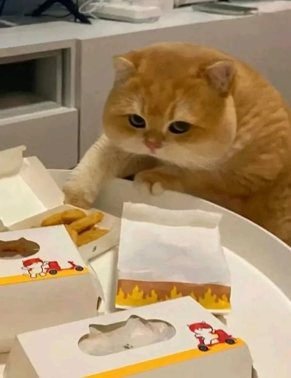 GIF uploaded by Jake