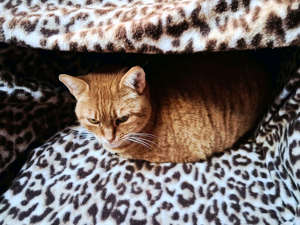 GIF uploaded by Michalis