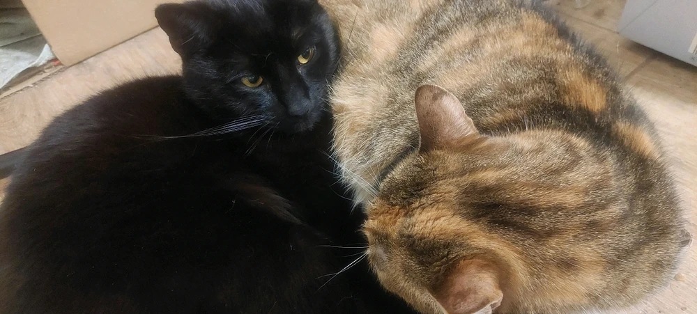 GIF dodany przez Mariusz