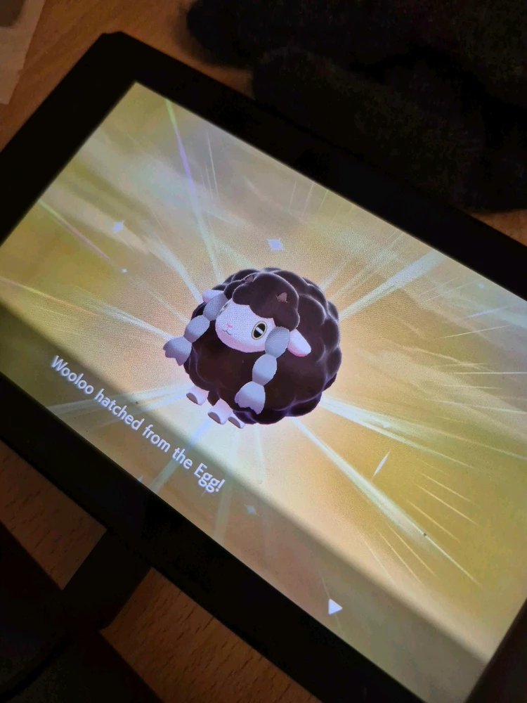 GIF uploaded by Shane