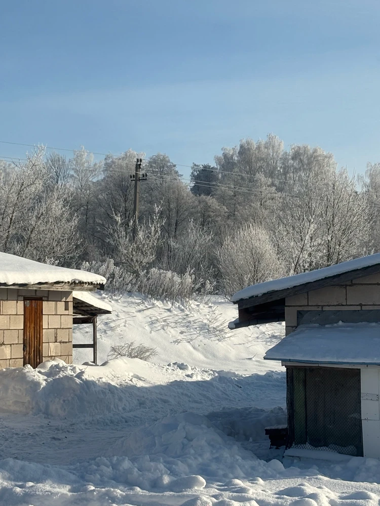 Фото загрузил Евгений