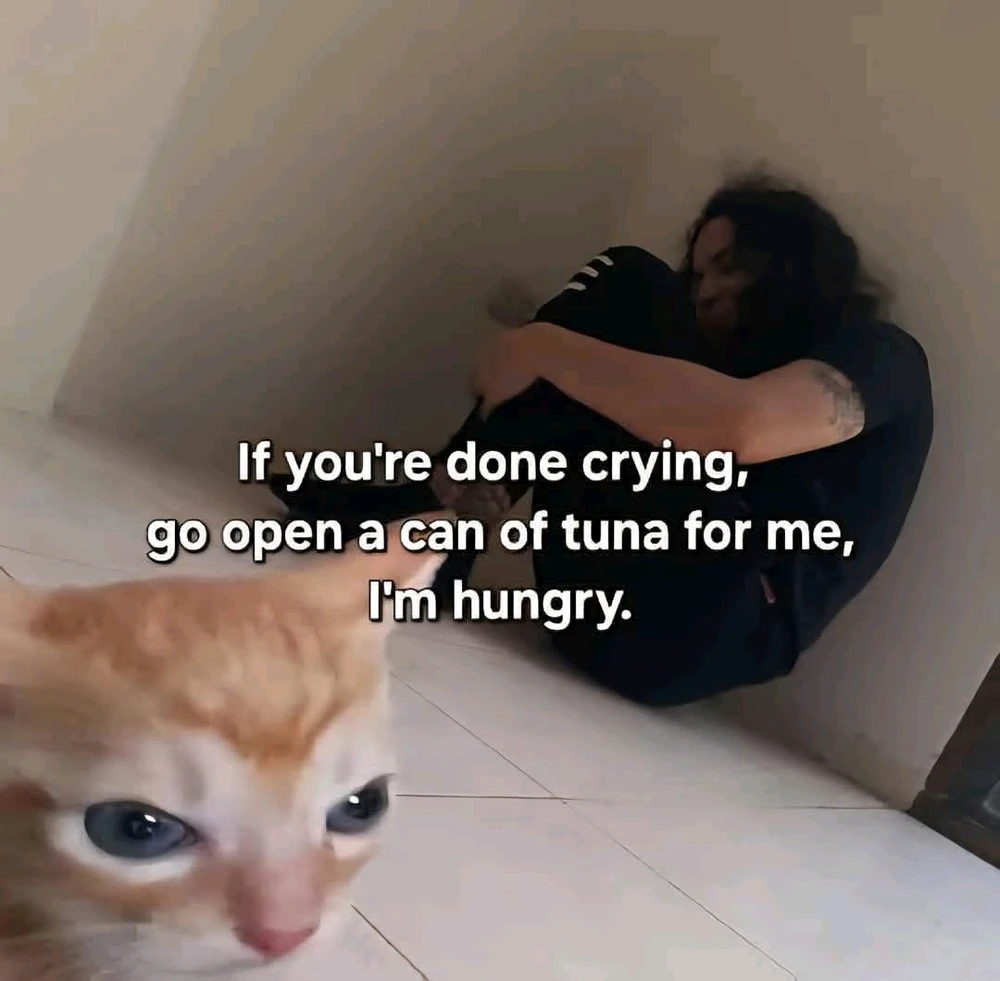 GIF uploaded by Shiri 쉬린 💜