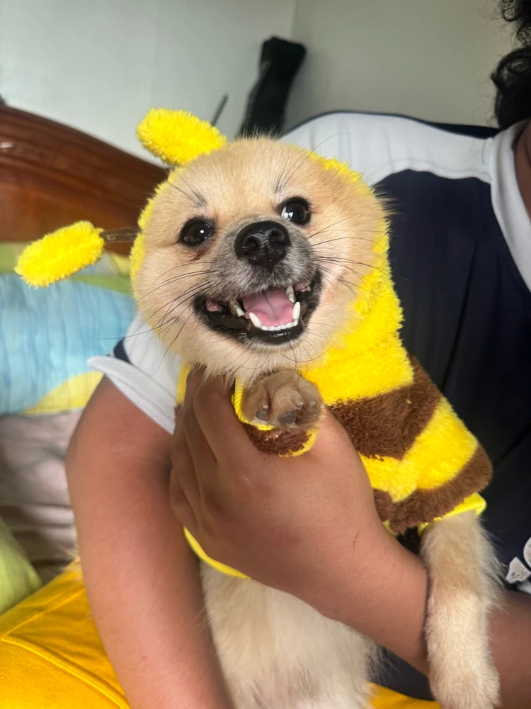 Image uploaded by Gab