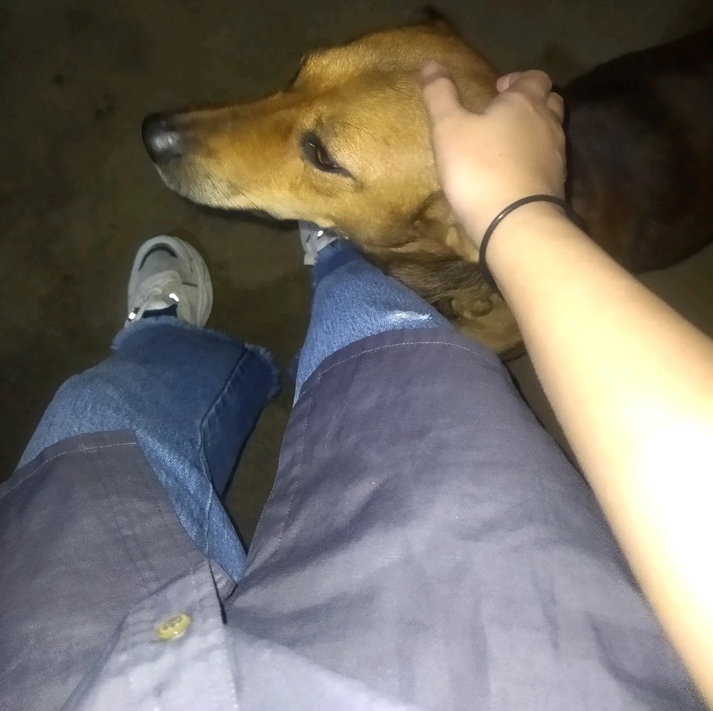 Image uploaded by Arys