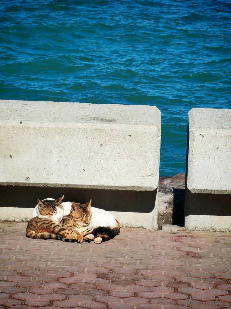 GIF uploaded by Likesh