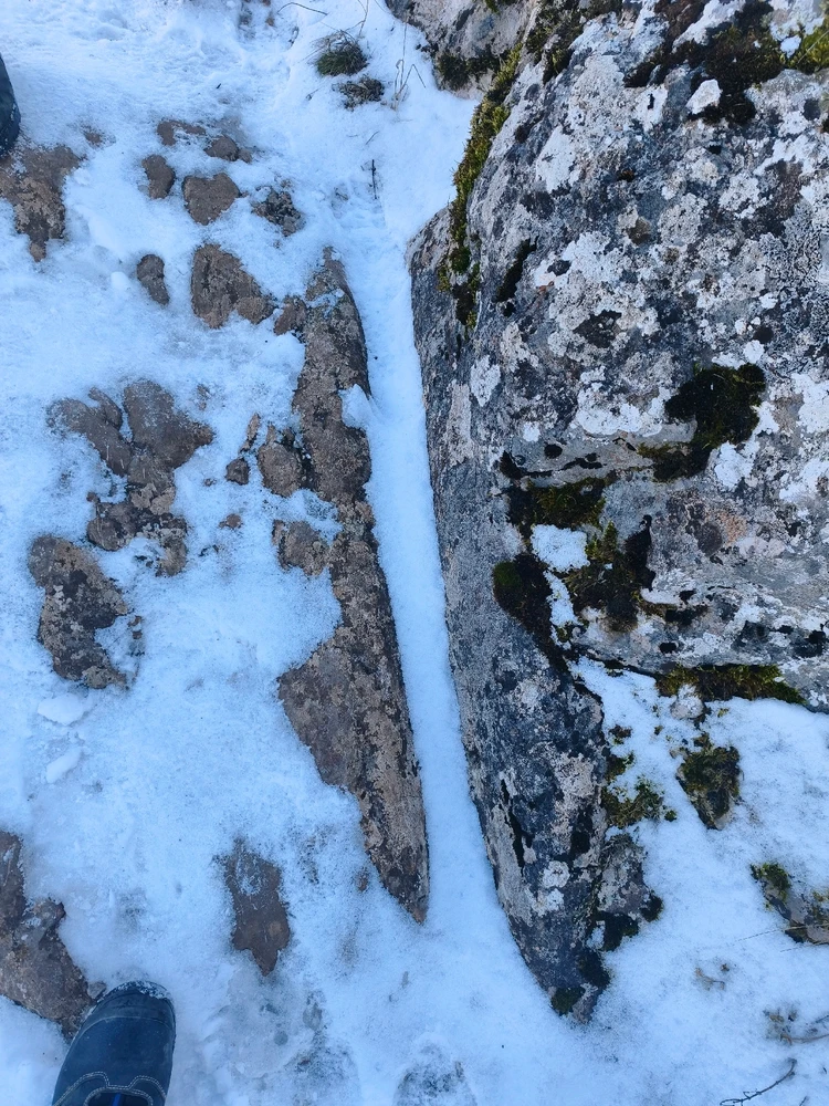 Fotku nahral/-a Daniel