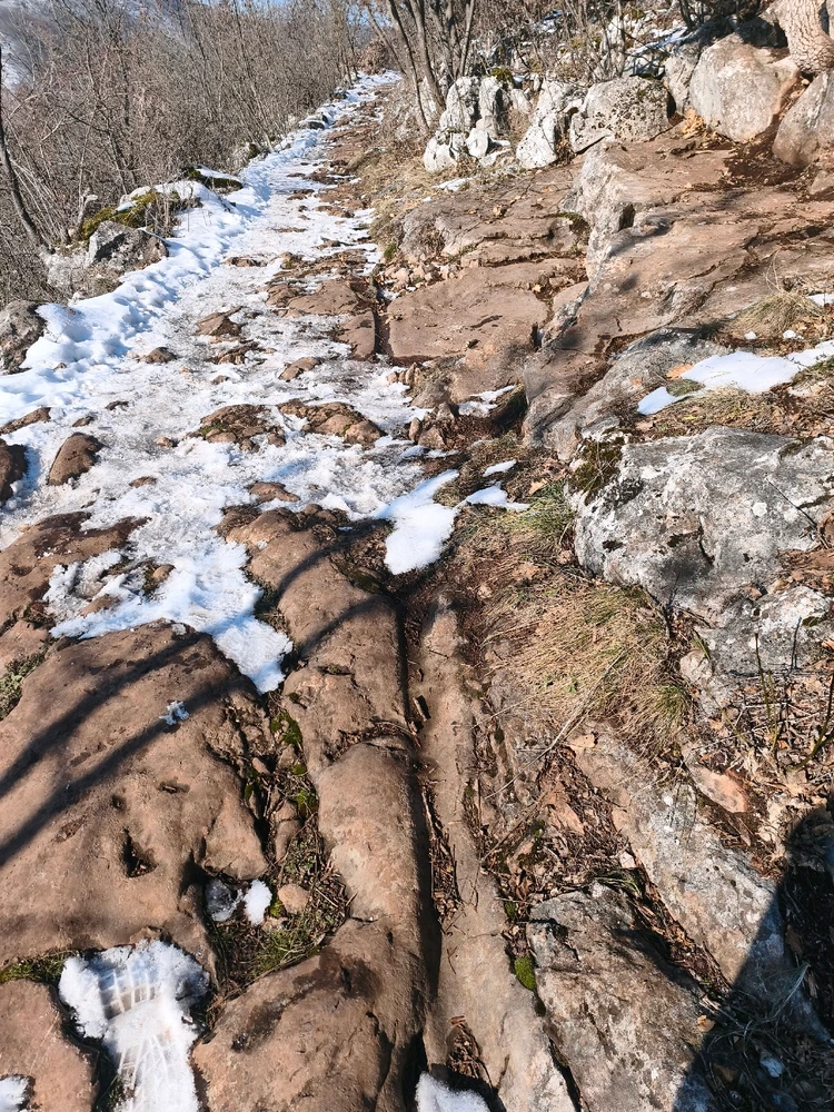 Fotku nahral/-a Daniel