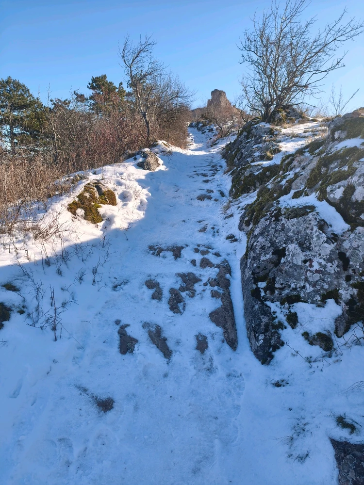 Fotku nahral/-a Daniel