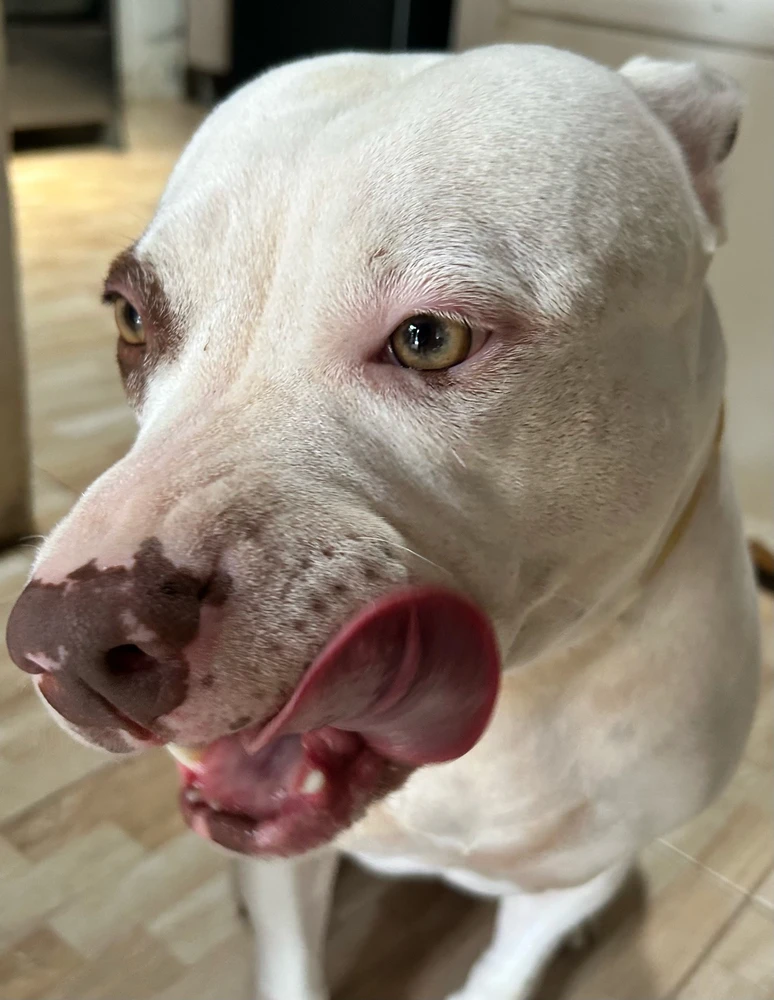 GIF uploaded by Jojo