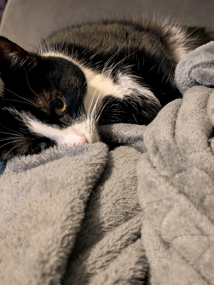 GIF uploaded by Andy