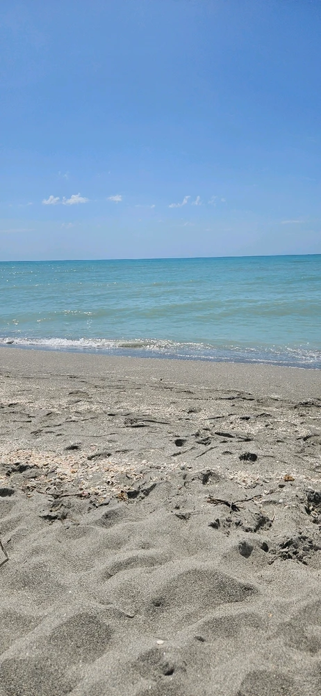 Image uploaded by LadyT